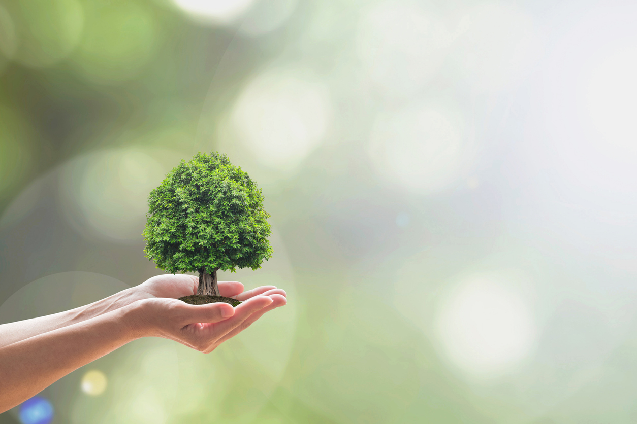 Fairfield County Land Reutilization Corporation